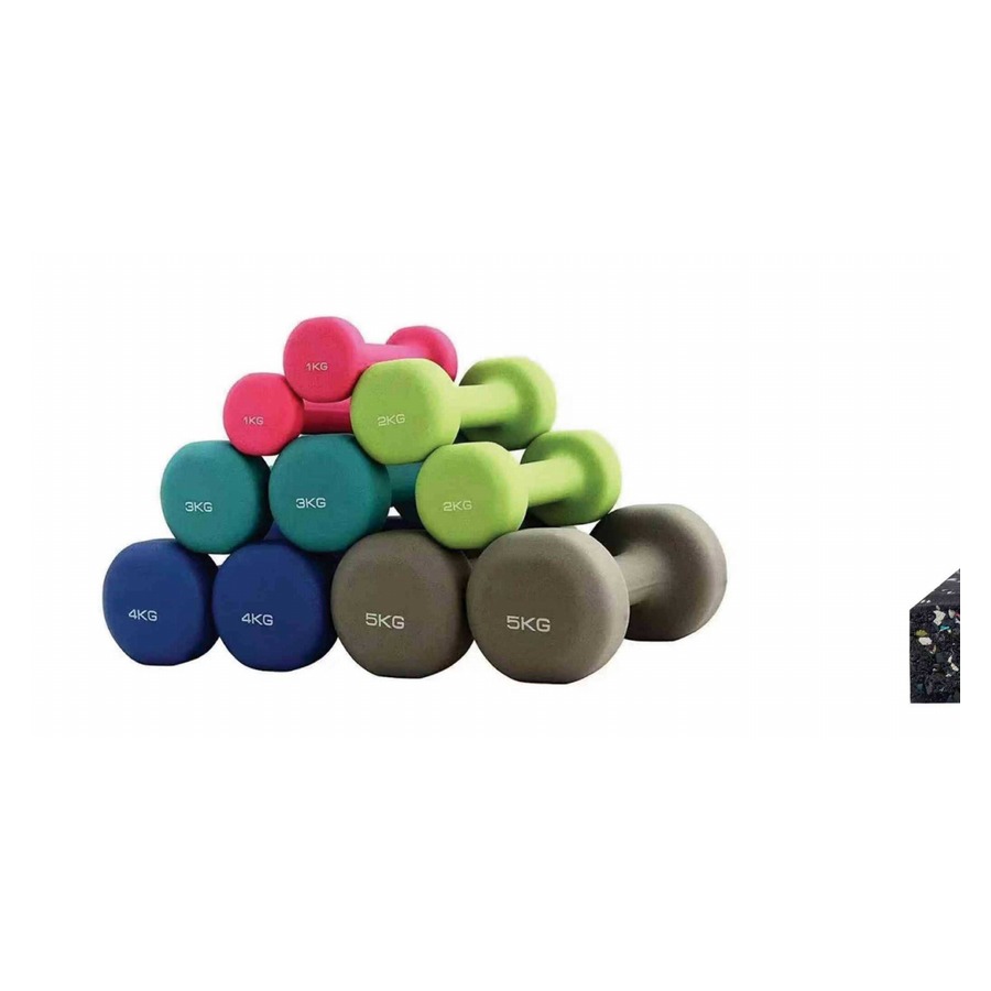 Round Dumbbell WDF-LB-P02 معدات تجارية من WDER