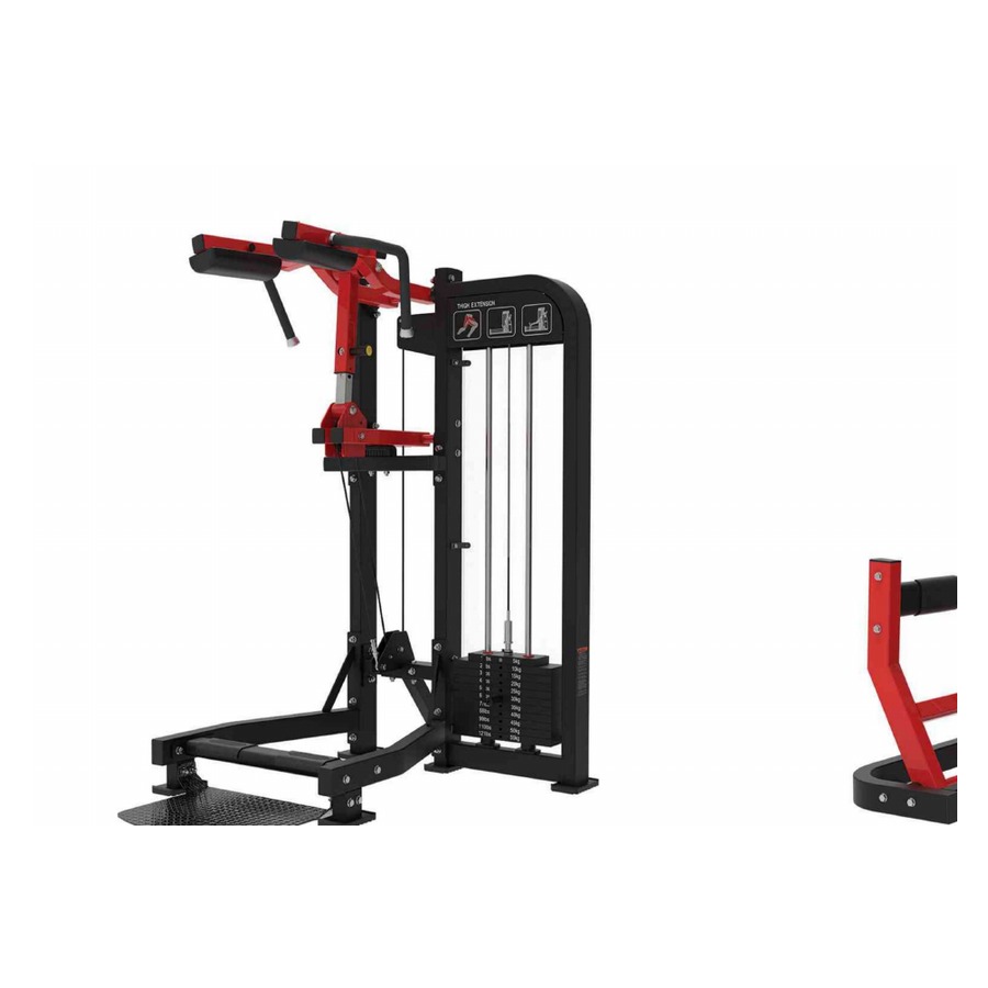Standing calf WDF-LB-FM18 معدات تجارية من WDER