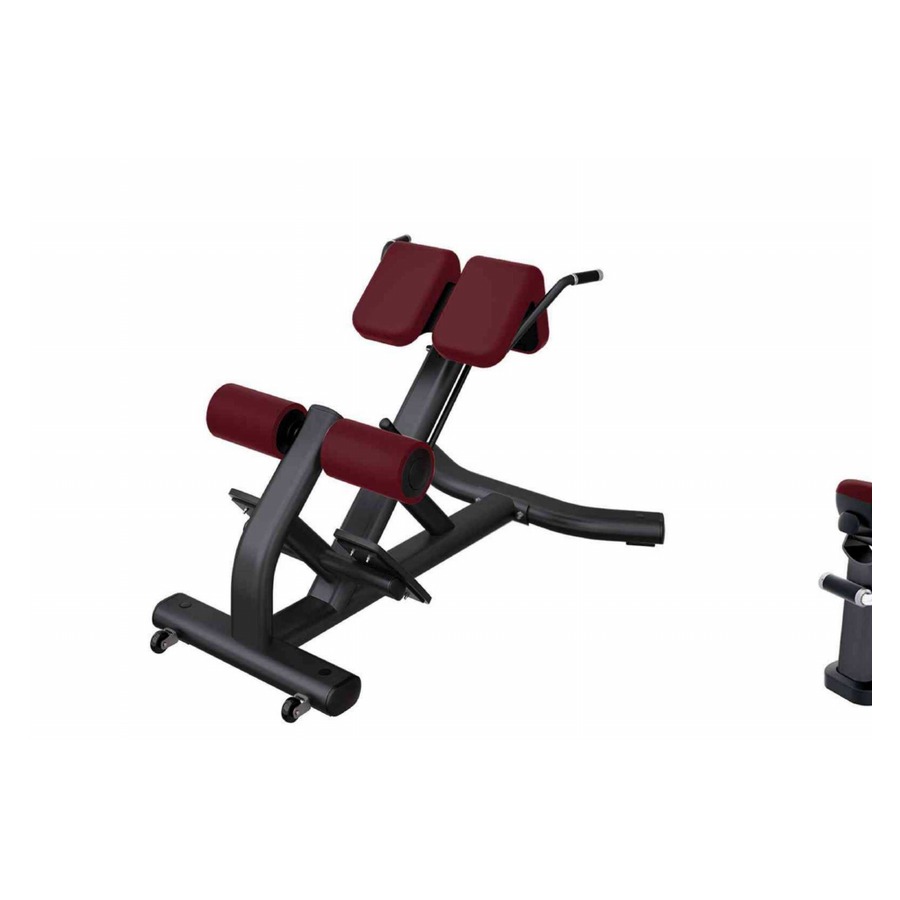 Back Extension WDF-LB-LJ38 معدات تجارية من WDER
