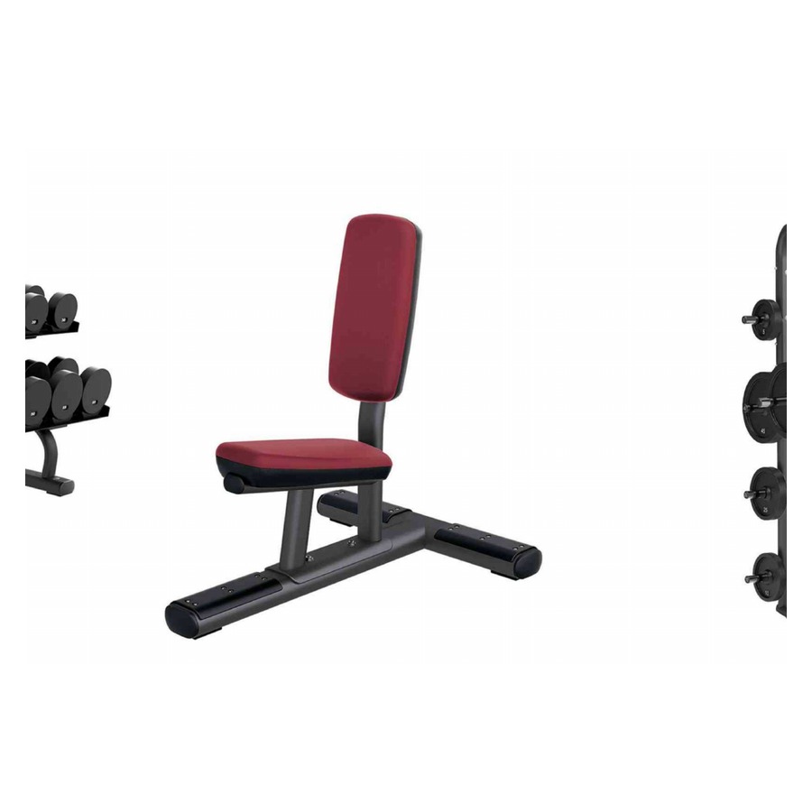 Multi-Purpose Bench WDF-LB-LJ42 معدات تجارية من WDER