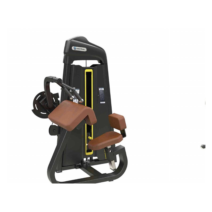 Tricep Extension WDF-LB-B1028 معدات تجارية من WDER