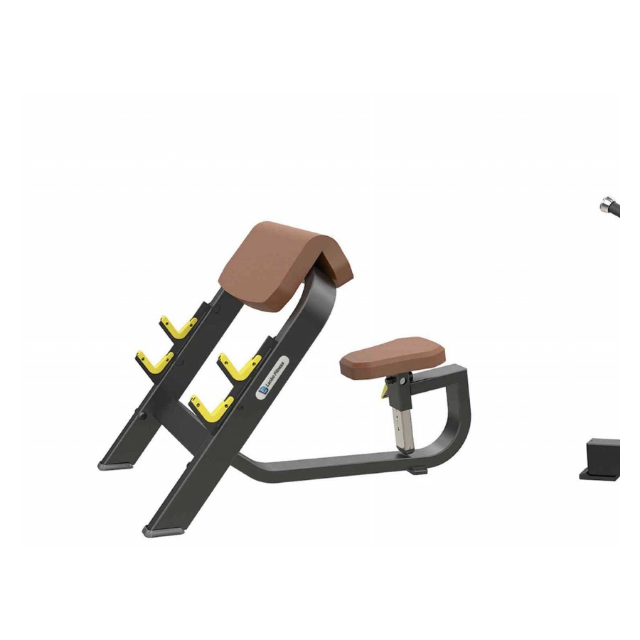 Bicep Taining Rack WDF-LB-B1044 معدات تجارية من WDER