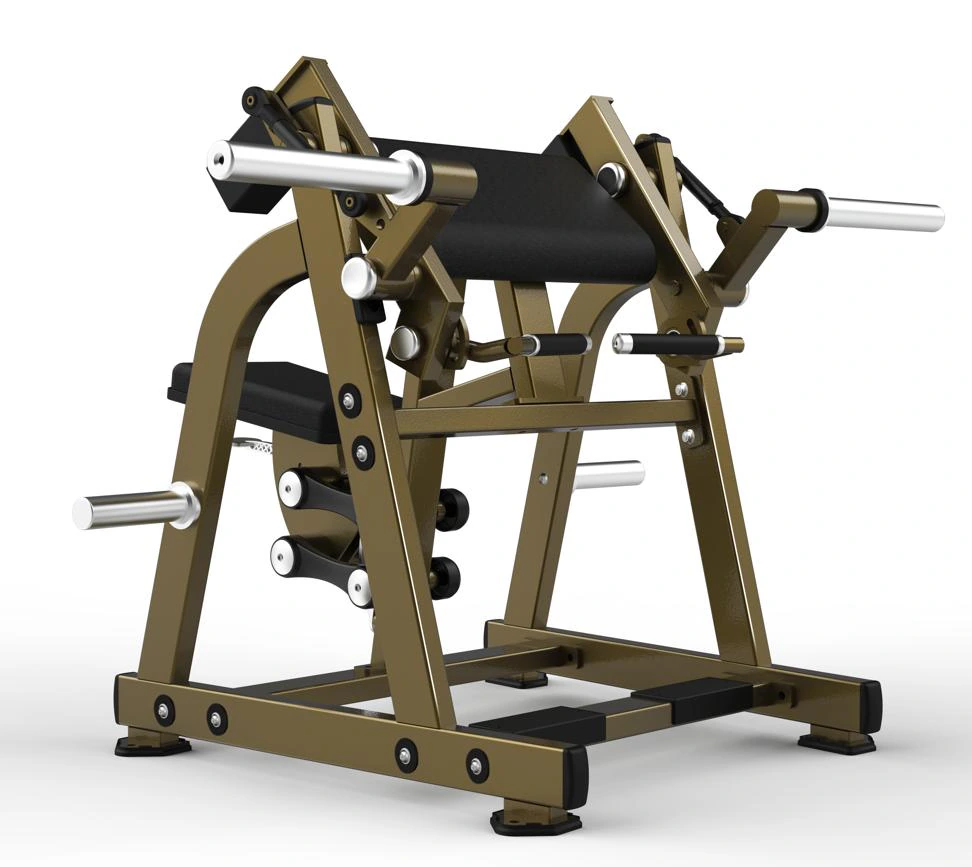 Commercial Plate Loaded Biceps Curl Machine WDF-PL-114 WDER Commercial Gym Equipment