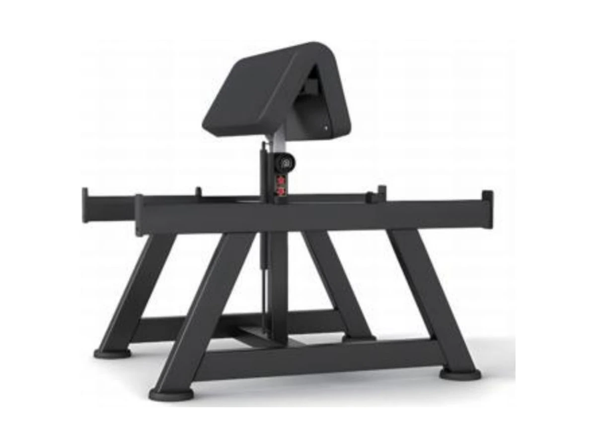 Commercial Preacher Curl Bench WDF-BR-005 WDER Commercial Gym Equipment