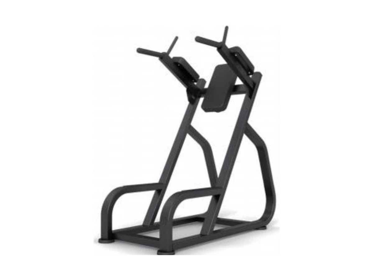 Commercial Dip and Leg Raise Station WDF-BR-007 WDER Commercial Gym Equipment