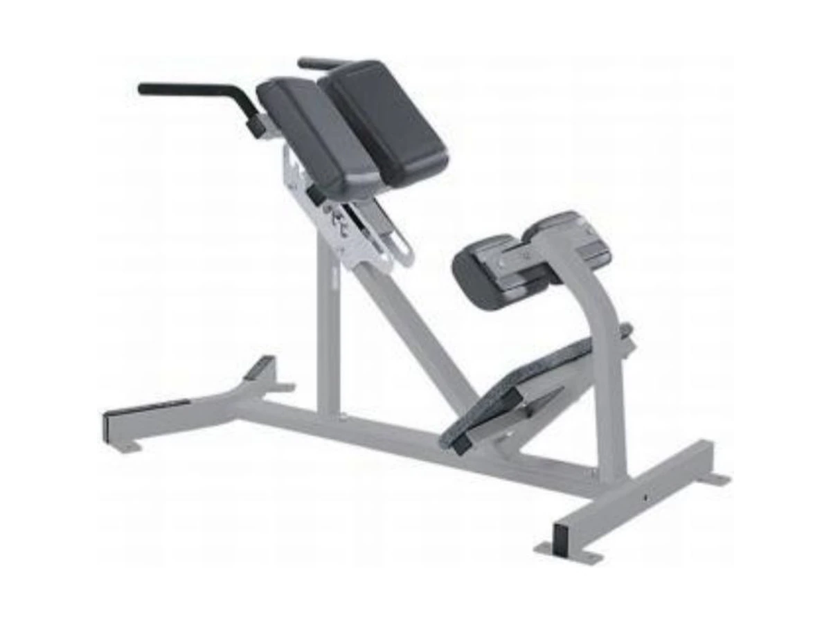 Commercial Back Extensor (roman Chair) WDF-BR-030 معدات تجارية من WDER