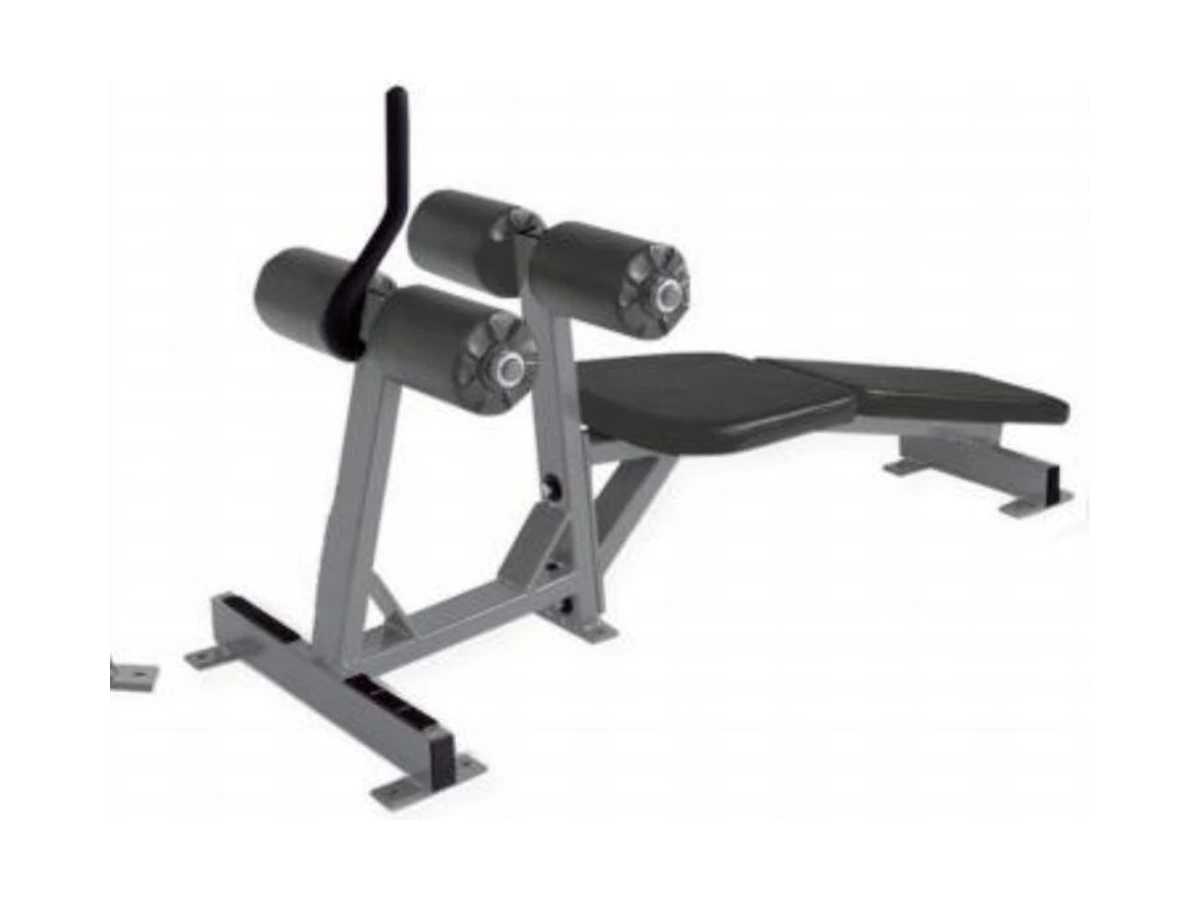 Commercial Abdominal Exercise Chair with Oblique Sitting Position WDF-BR-032 معدات تجارية من WDER