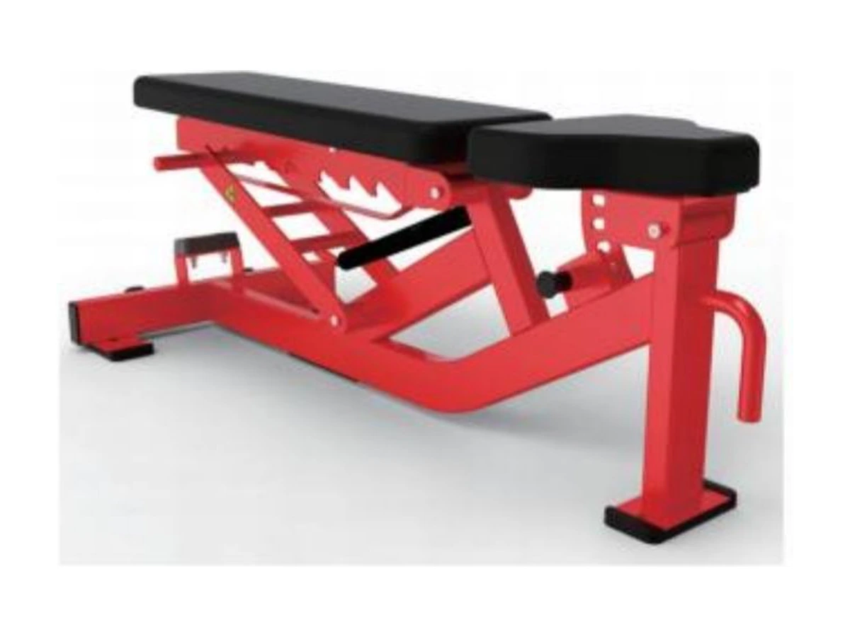 Commercial Adjustable Training Chair WDF-BR-035 معدات تجارية من WDER