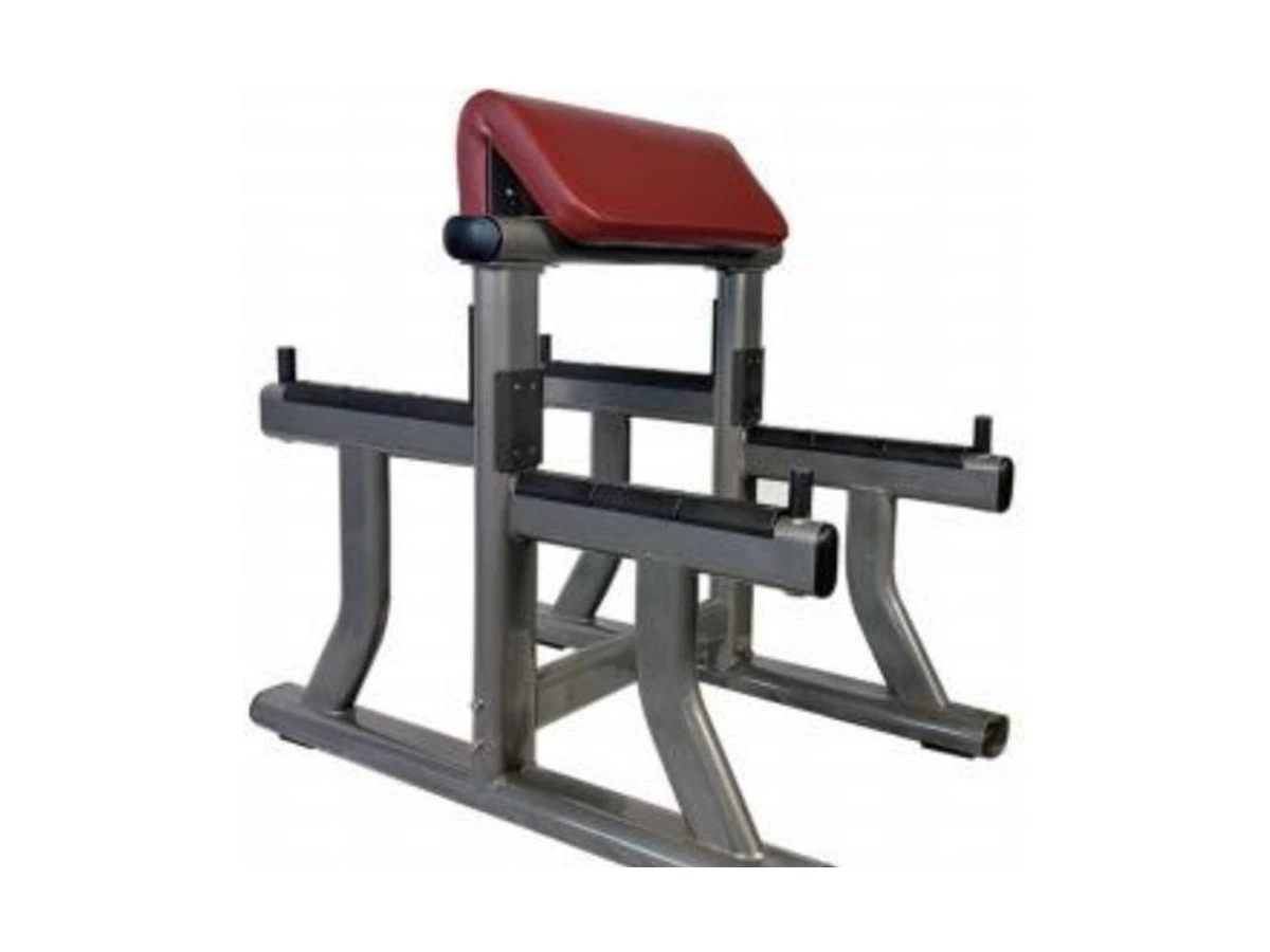 Commercial Preacher Curl Bench WDF-BR-042 WDER Commercial Gym Equipment