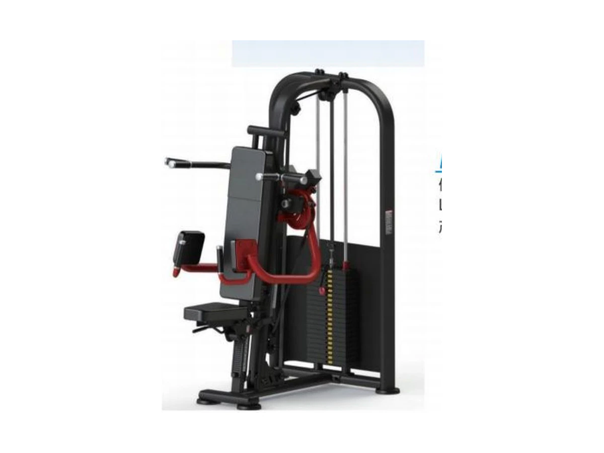 Commercial Lateral Raise Shrug Shoulders WDF-PL-023 معدات تجارية من WDER
