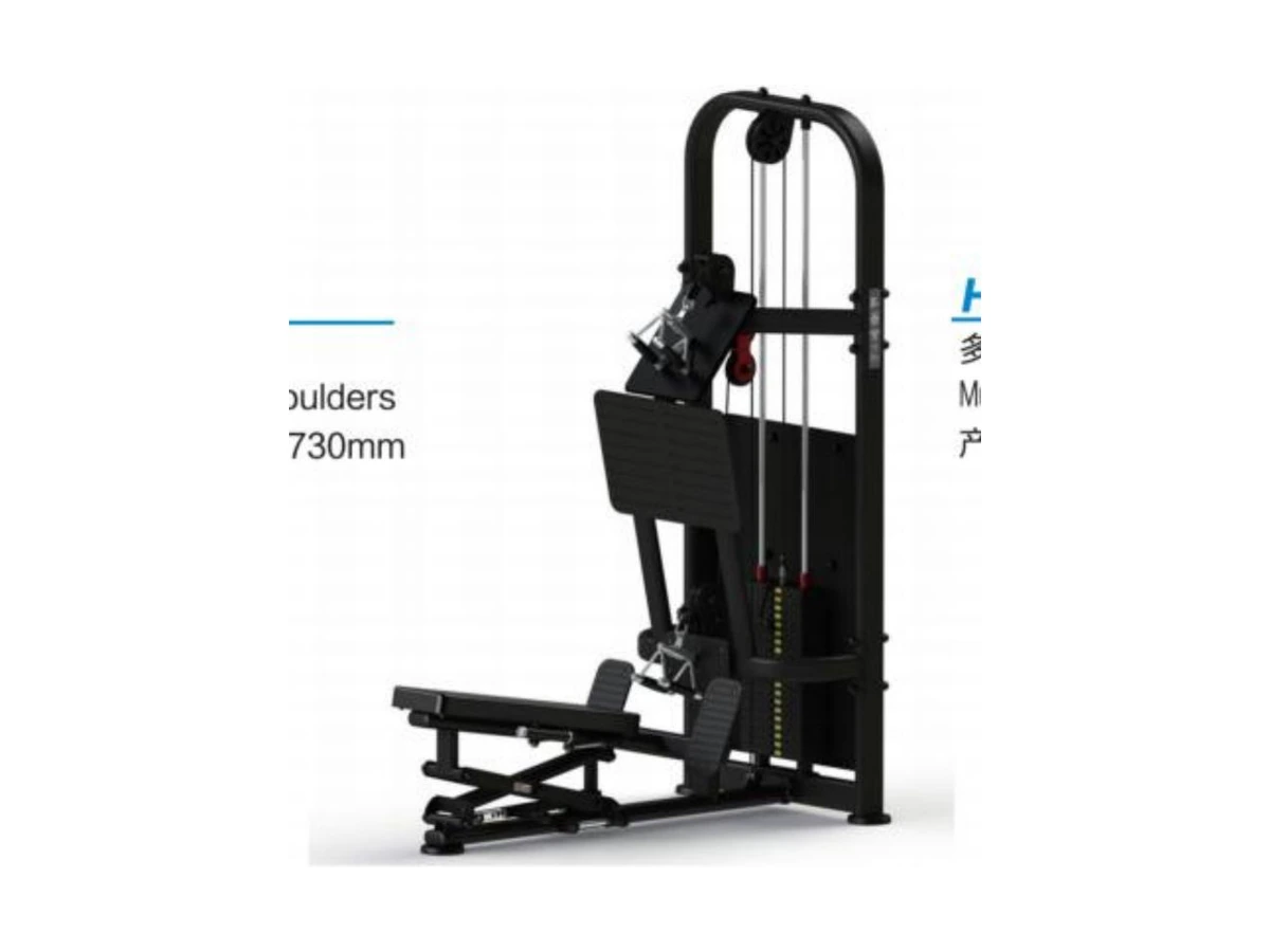 Commercial Multi-angle High and Low Integrated Machine WDF-PL-024 معدات تجارية من WDER
