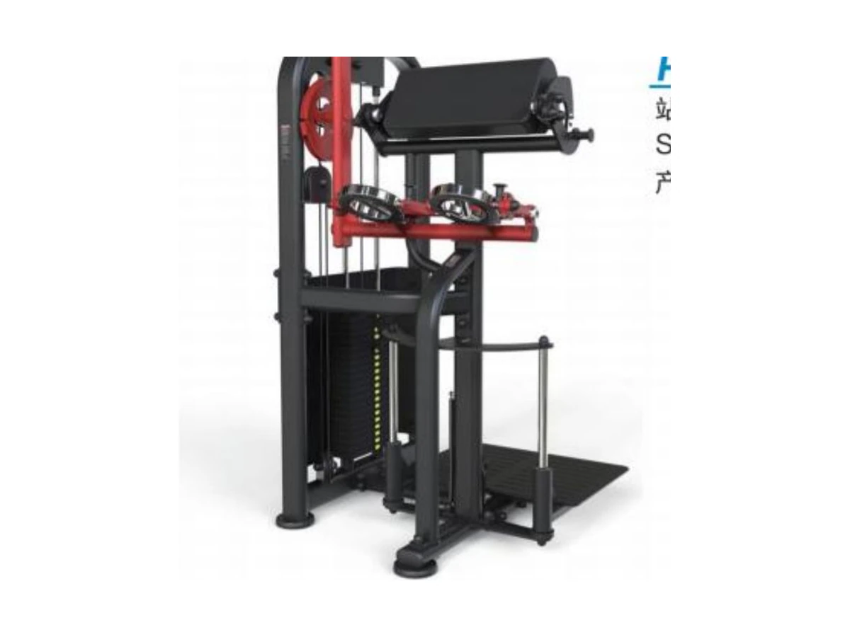 Commercial Standing Biceps Trainer WDF-PL-025 معدات تجارية من WDER