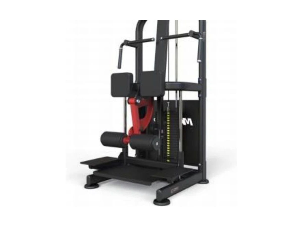 Commercial Standing Leg Curl WDF-PL-029 معدات تجارية من WDER