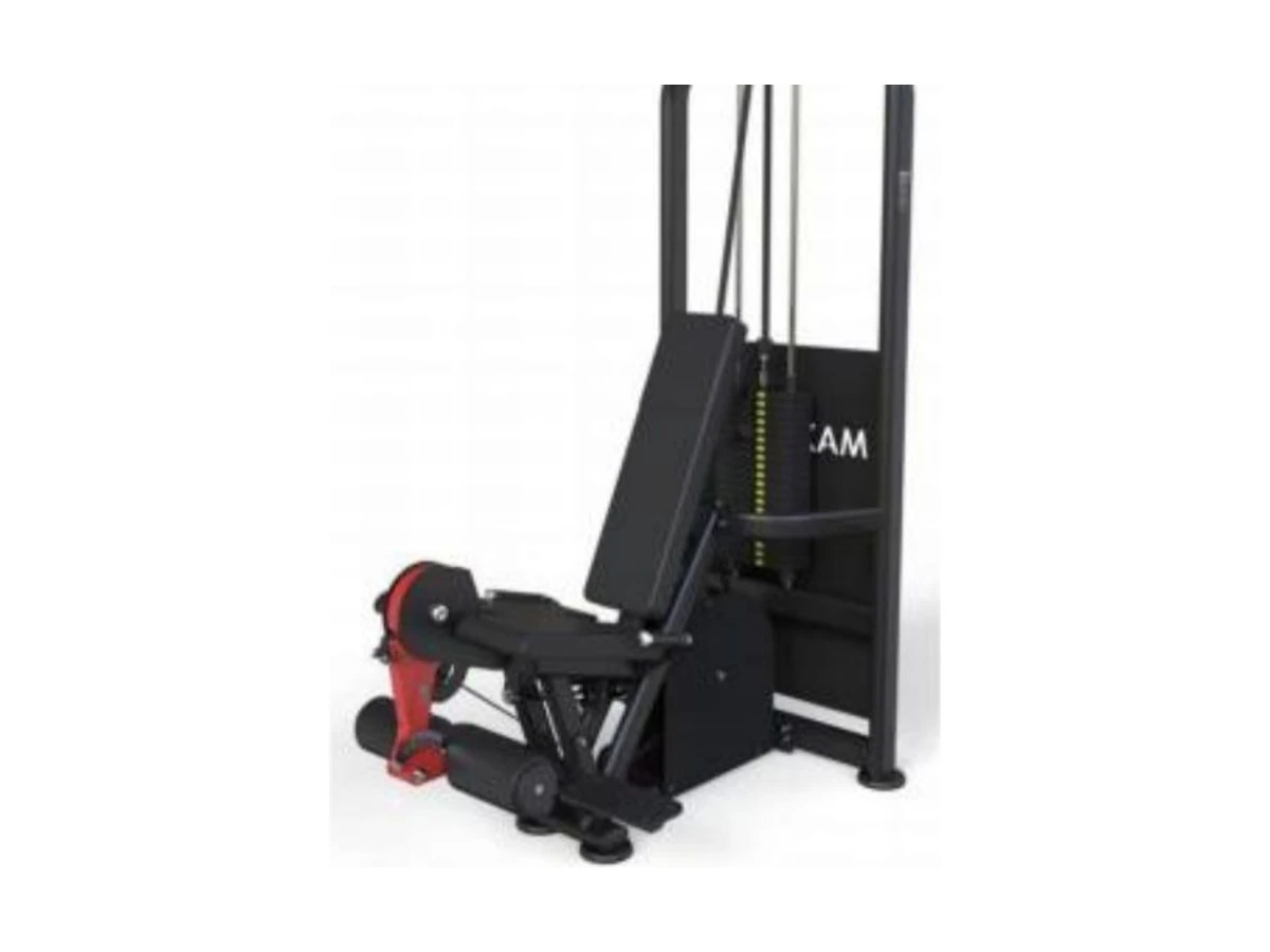Commercial Stretch Your Legs WDF-PL-030 معدات تجارية من WDER