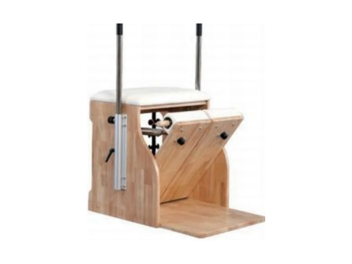 Commercial Stability Chair WDF-PT-004 معدات تجارية من WDER