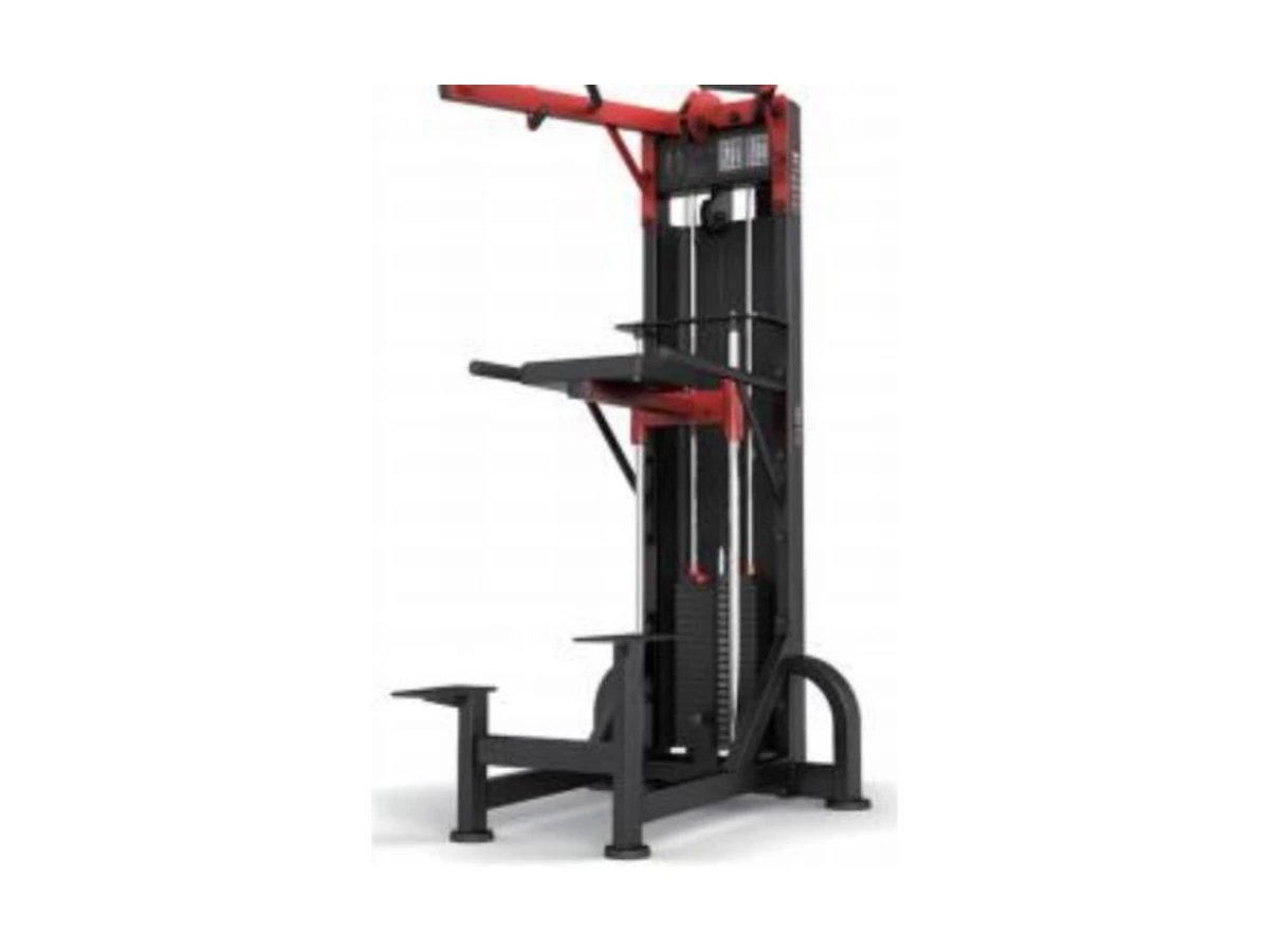 Commercial Chin-Up and Dip Assist Machine WDF-SL-002 معدات تجارية من WDER