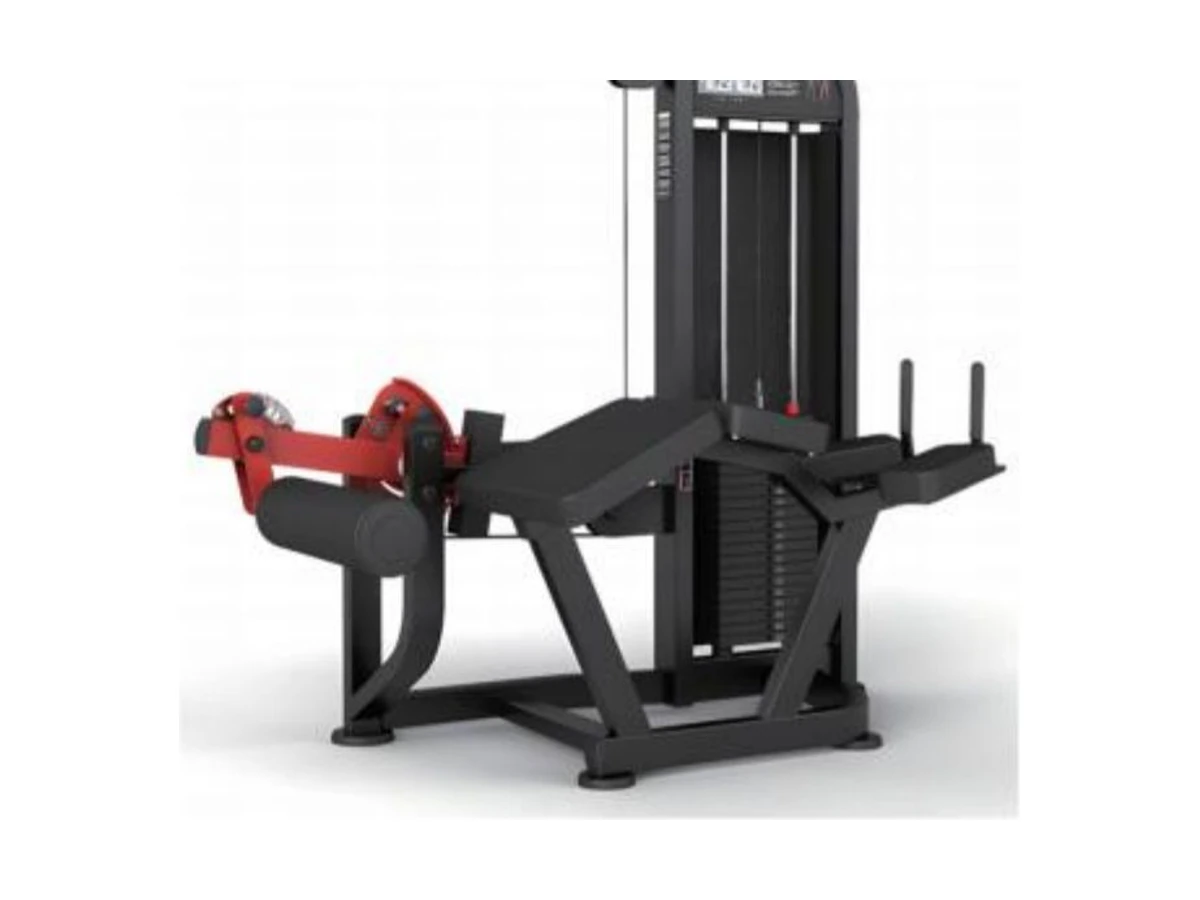 Commercial Leg Curl WDF-SL-004 معدات تجارية من WDER