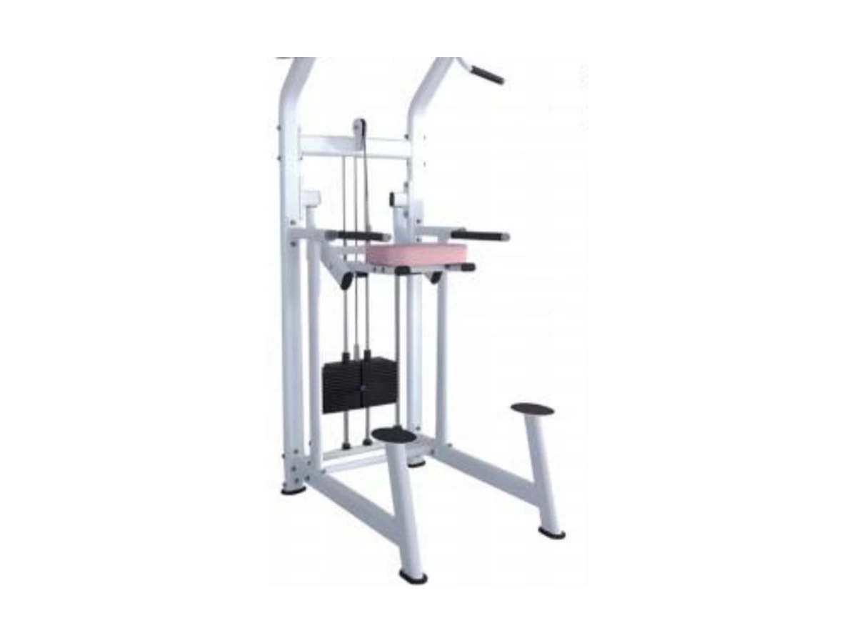 Commercial Dip and Chin Assist Machine WDF-SL-014 معدات تجارية من WDER