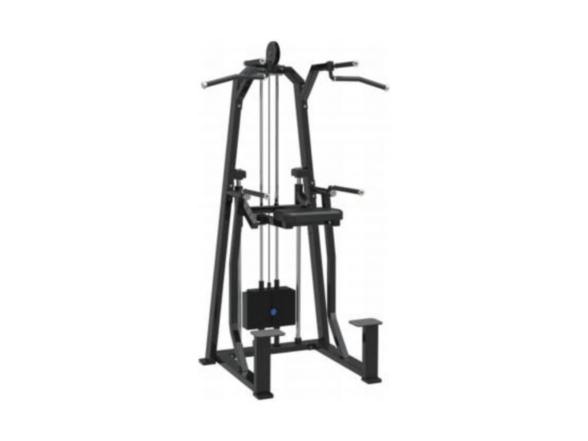 Commercial Dip and Chin Assist Machine WDF-SL-018 معدات تجارية من WDER