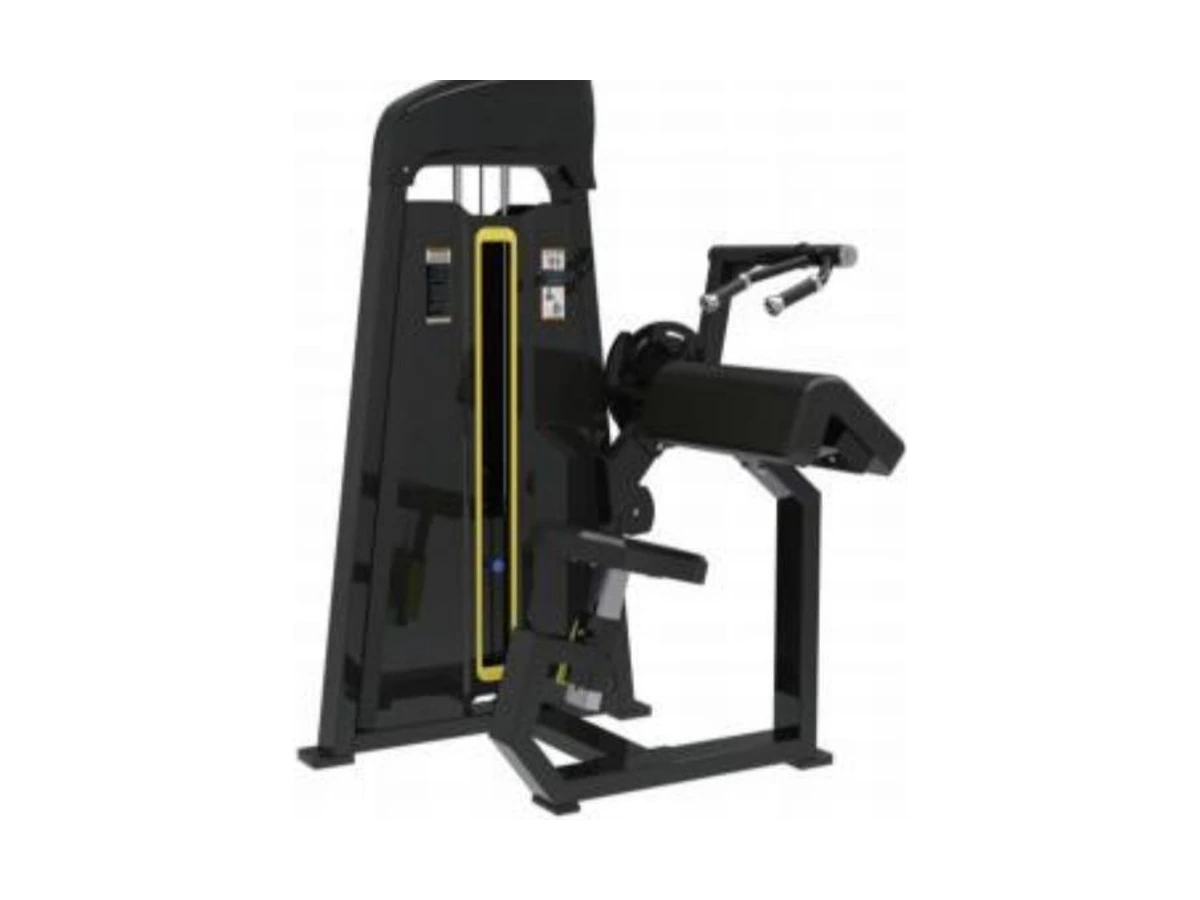 Commercial 45degree Triceps Extension WDF-SL-022 WDER ticari spor salonu ekipmanı