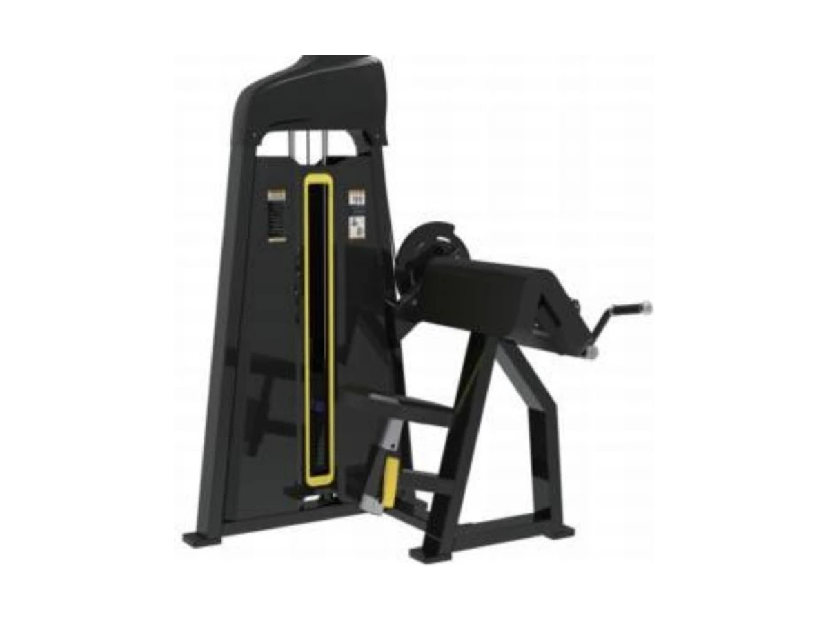 Commercial 45degree Camber Curl WDF-SL-023 WDER ticari spor salonu ekipmanı