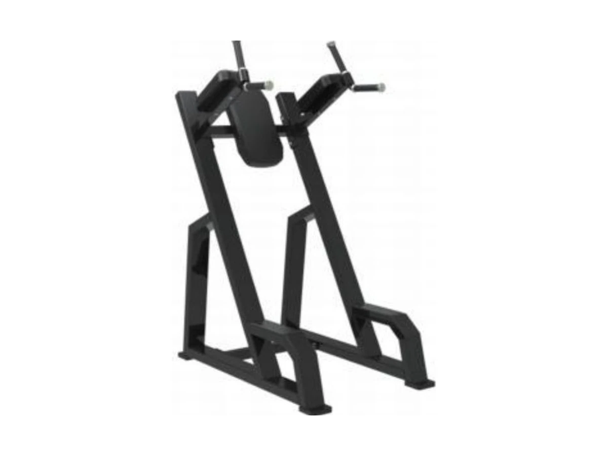 Commercial Vertical Knee Raise and Dip Station WDF-SL-030 WDER ticari spor salonu ekipmanı