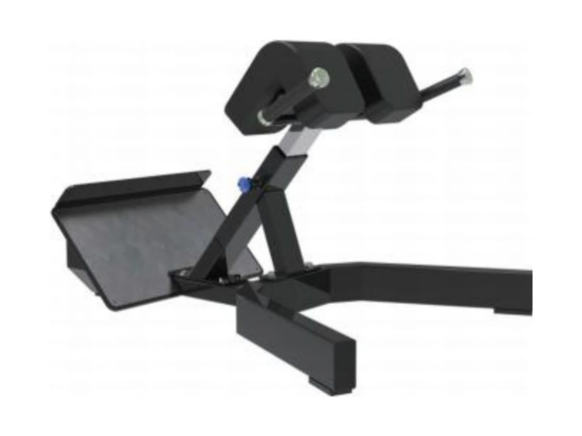 Commercial Back Extension WDF-SL-036 WDER ticari spor salonu ekipmanı