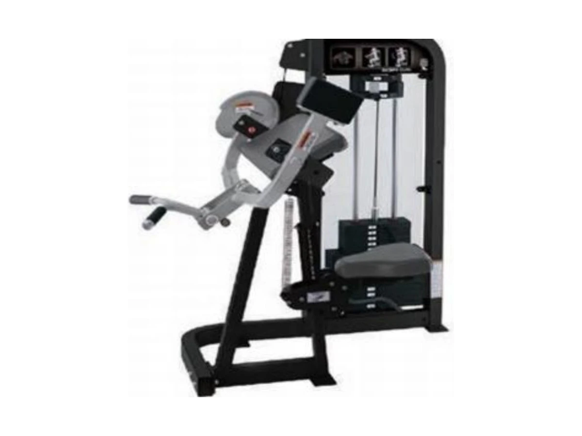 Commercial Bicep Trainer WDF-SL-046 معدات تجارية من WDER