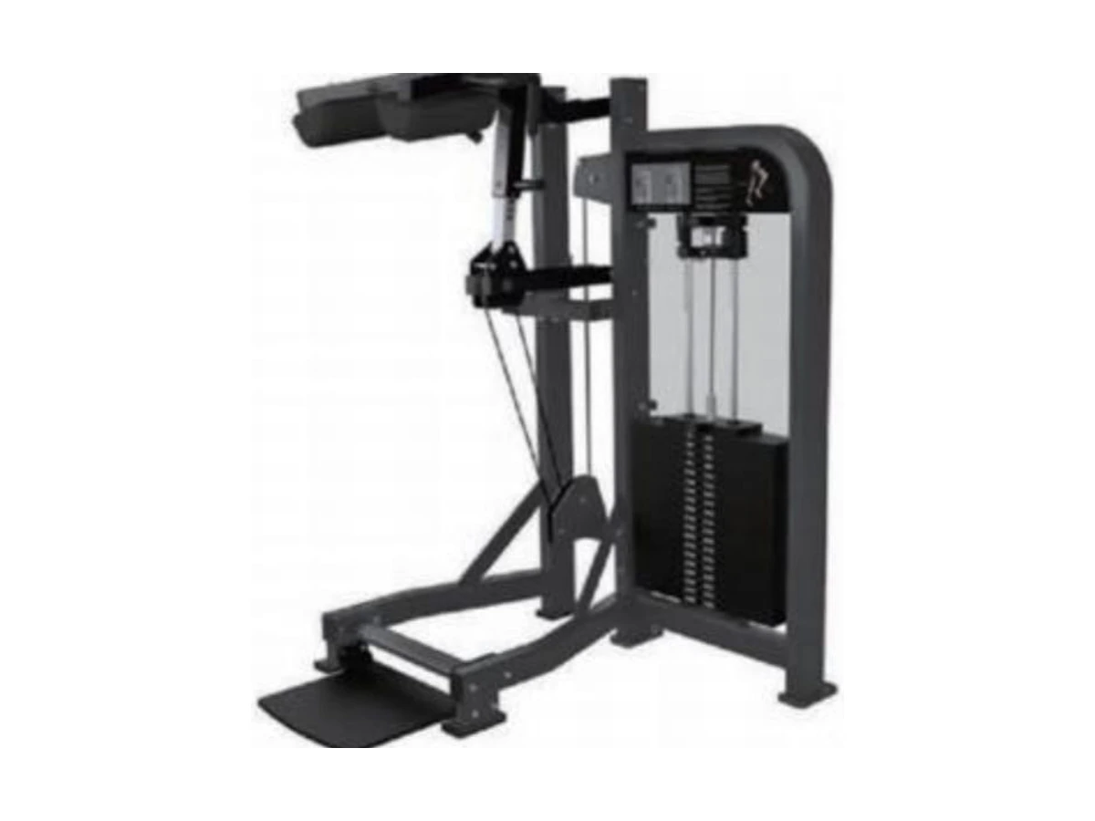 Commercial Standing Calf Trainer WDF-SL-048 معدات تجارية من WDER
