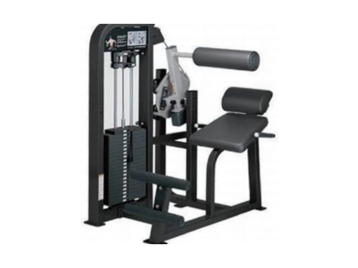 Commercial Back Extension Machine WDF-SL-054 معدات تجارية من WDER