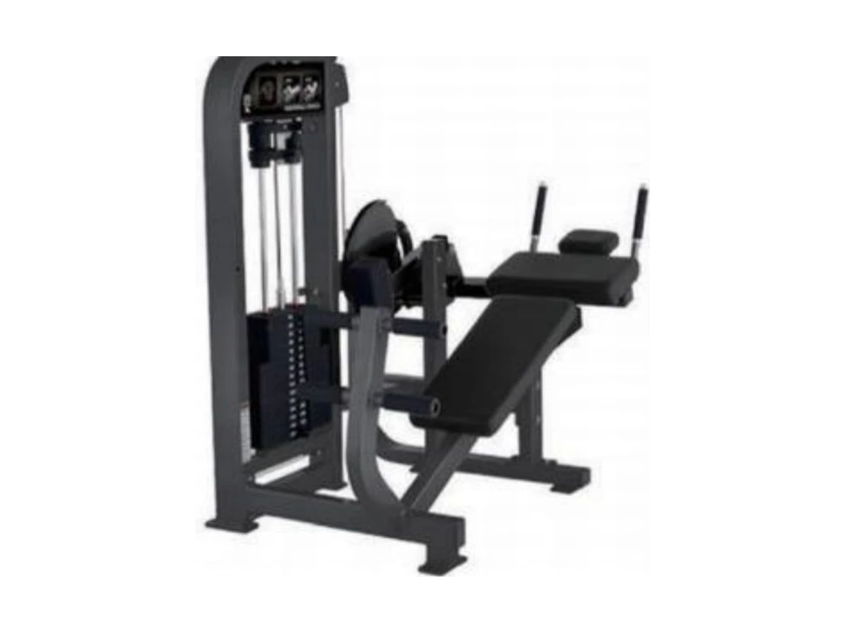 Commercial Abdominal Crunch Machine WDF-SL-055 معدات تجارية من WDER