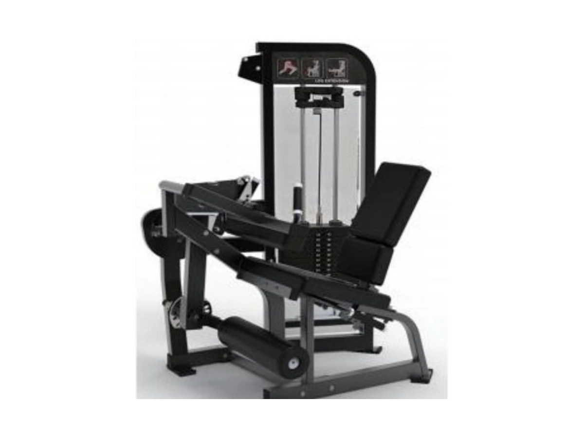 Commercial Leg Extension and Leg Curl Machine WDF-SL-060 معدات تجارية من WDER