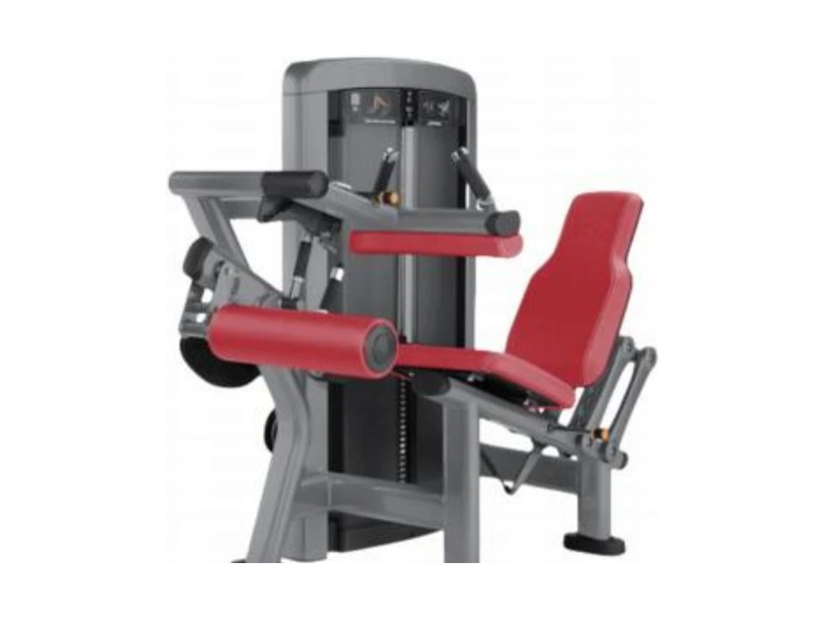 Commercial Leg Extension Machine WDF-SL-065 WDER Commercial Gym Equipment