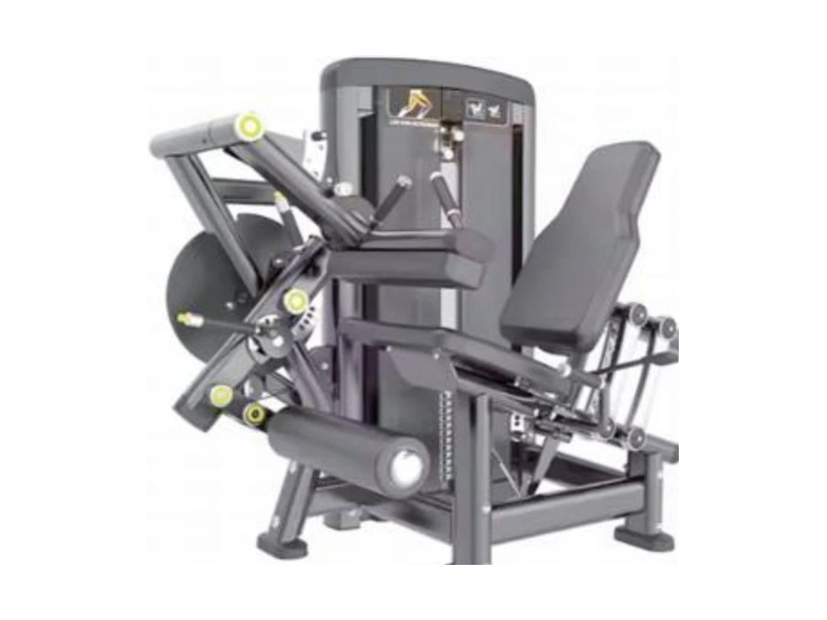 Commercial Leg Curl and Leg Extension Machine WDF-SL-066 WDER Commercial Gym Equipment