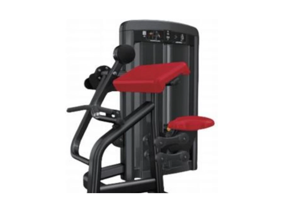 WDF-SL-073 biceps curl machine commercial gym equipment