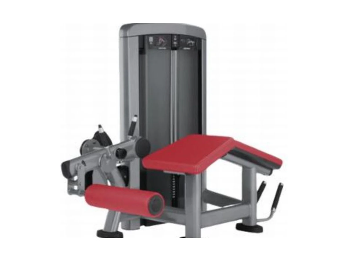 Commercial Lying Leg Curl Machine WDF-SL-075 WDER Commercial Gym Equipment