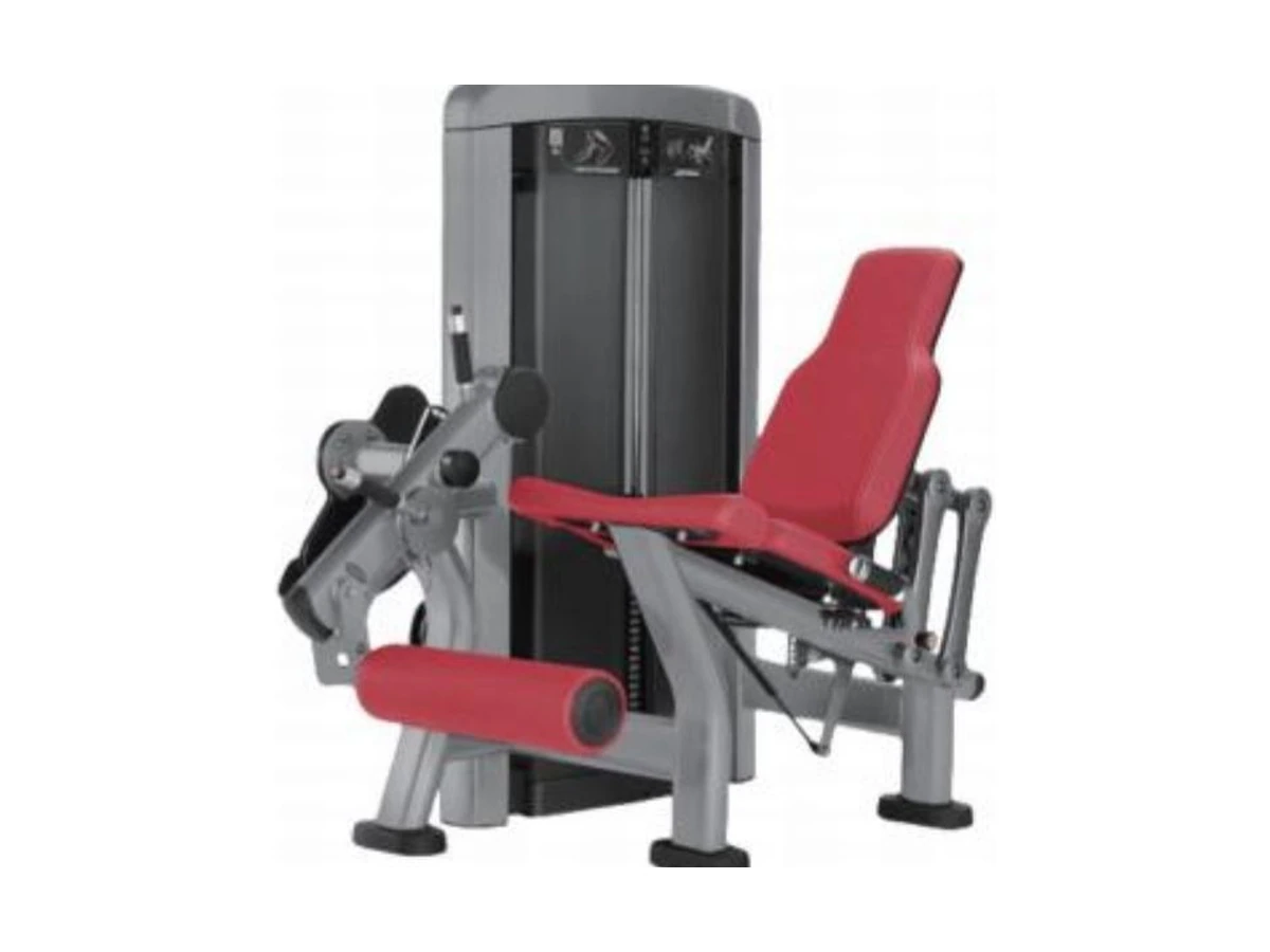 Commercial Leg Extension Machine WDF-SL-076 WDER Commercial Gym Equipment