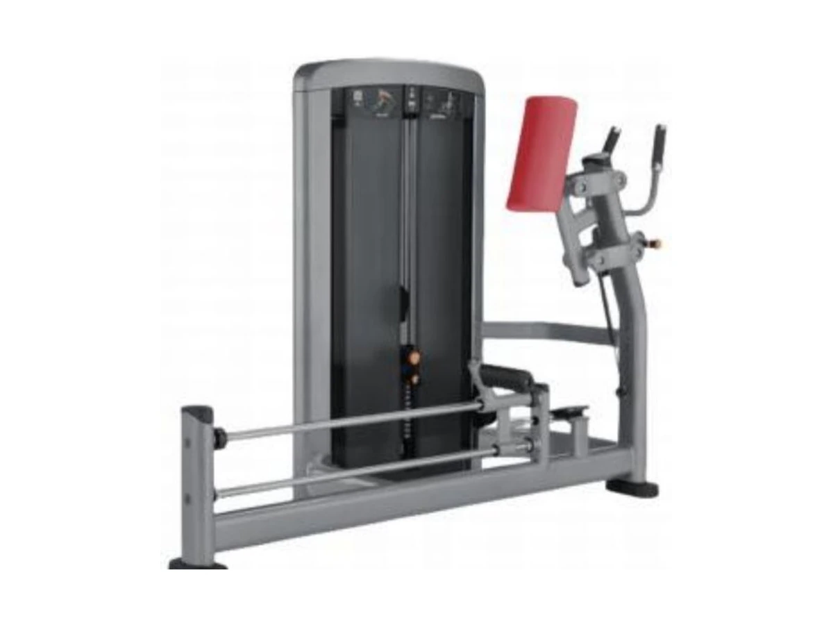Commercial Glute Machine WDF-SL-077 WDER Commercial Gym Equipment