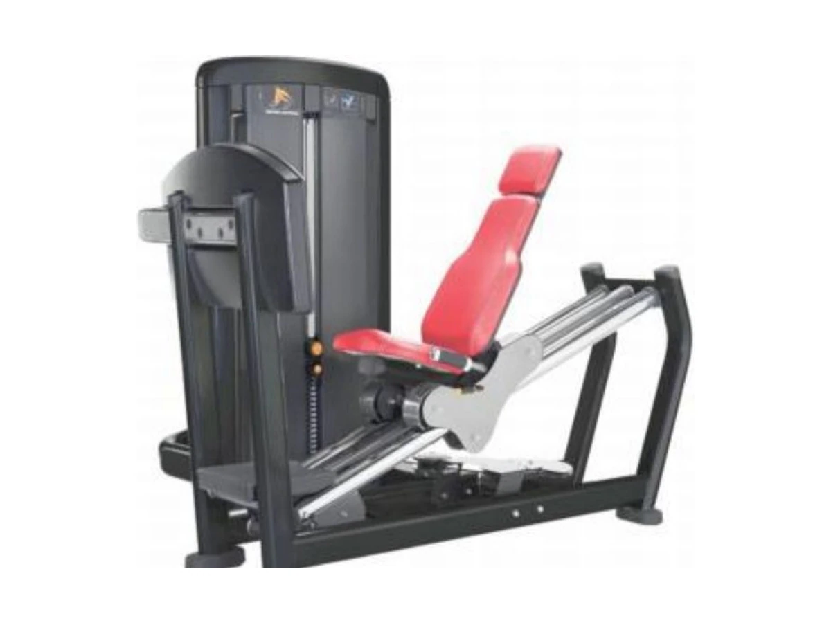 Commercial Seated Leg Extension Machine WDF-SL-082 WDER Commercial Gym Equipment