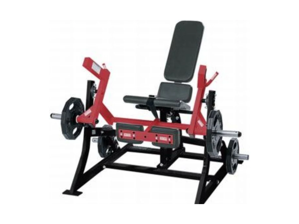 Commercial Leg Extension Machine WDF-SL-086 WDER Commercial Gym Equipment