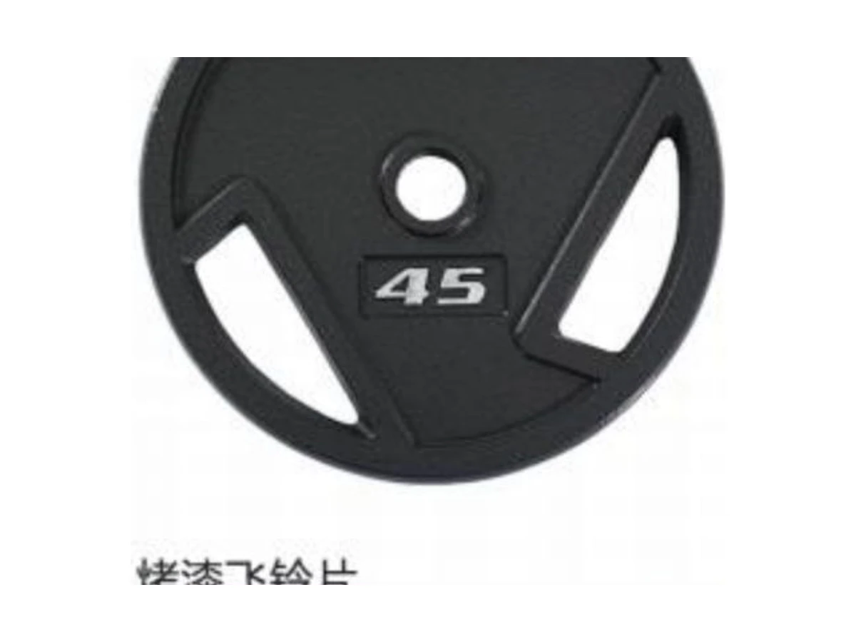 Commercial Baked-enamel Flywheel Plate WDF-WP-015 WDER ticari spor salonu ekipmanı