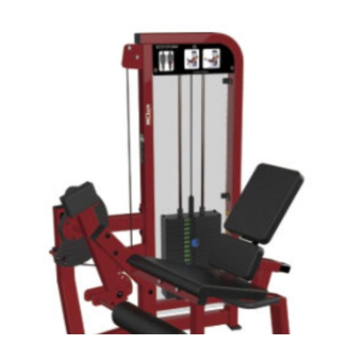ISO Lateral Leg Extension WDF-LB-SH17