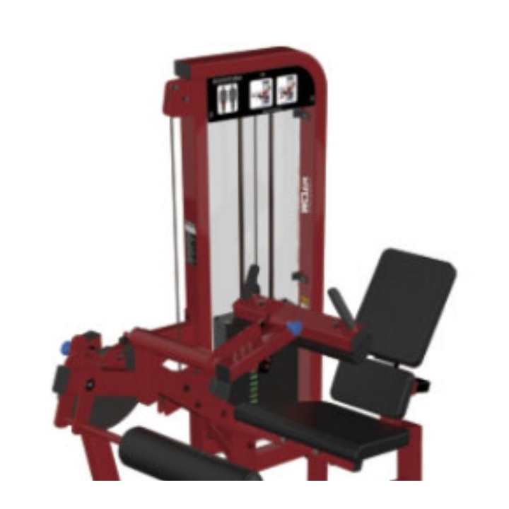 45 Degree Leg Press WDF-LB-SH19 معدات تجارية من WDER
